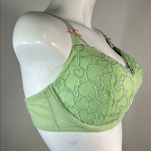 PINK Victoria's Secret Light Green Heart Lace Underwire Bra Pink Accents 38DD - Picture 3 of 12